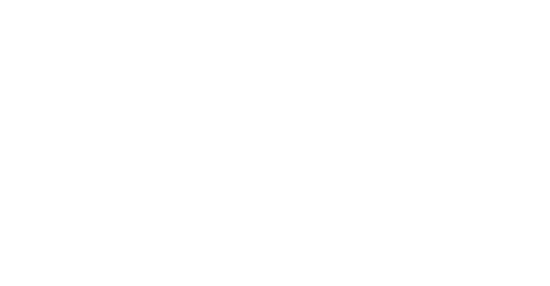Apex Chamber logo